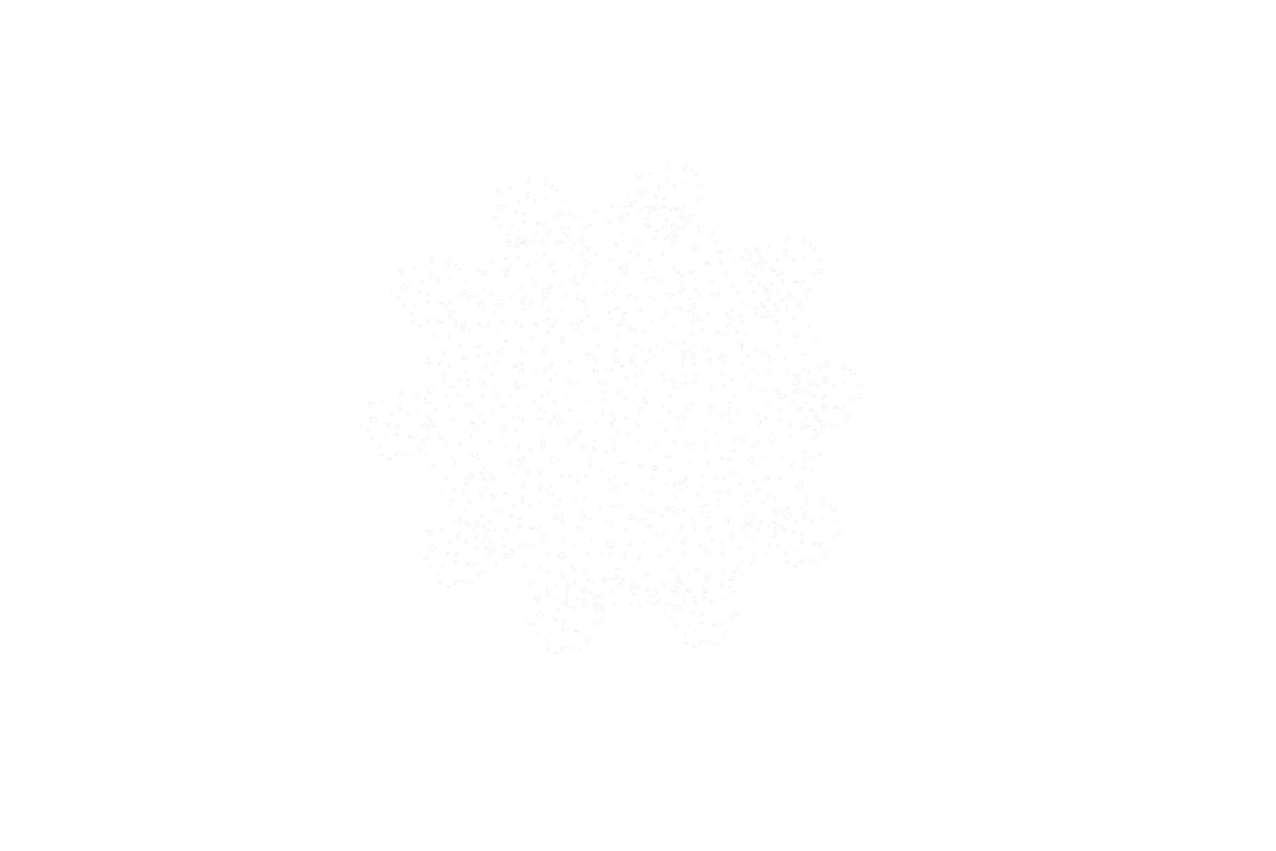 AADN_ACTIVITES