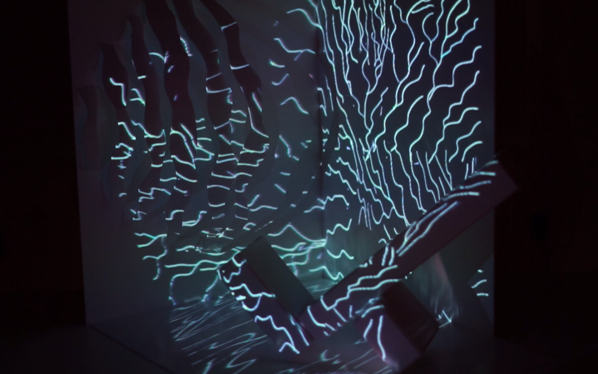  crédit photo : AADN 