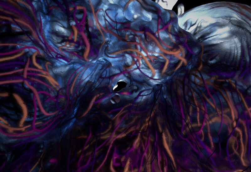 Souviens toi les criquets_Florian Guibert (3)