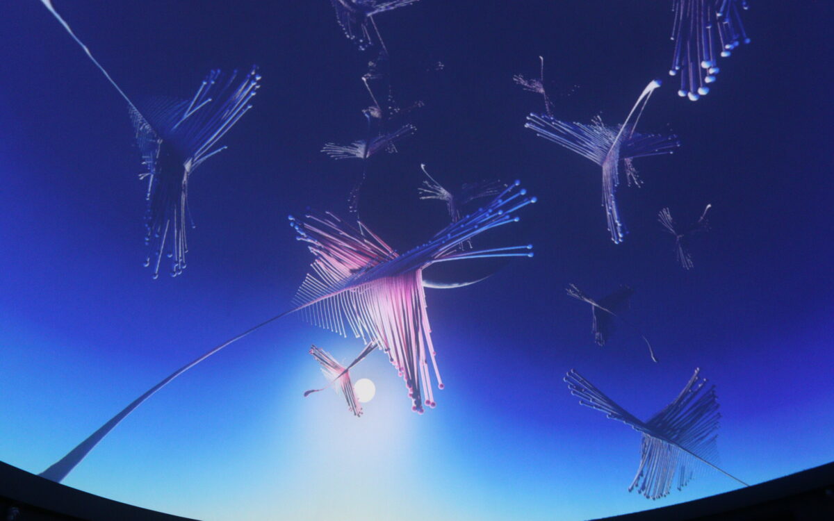  crédit photo : Florian Guibert